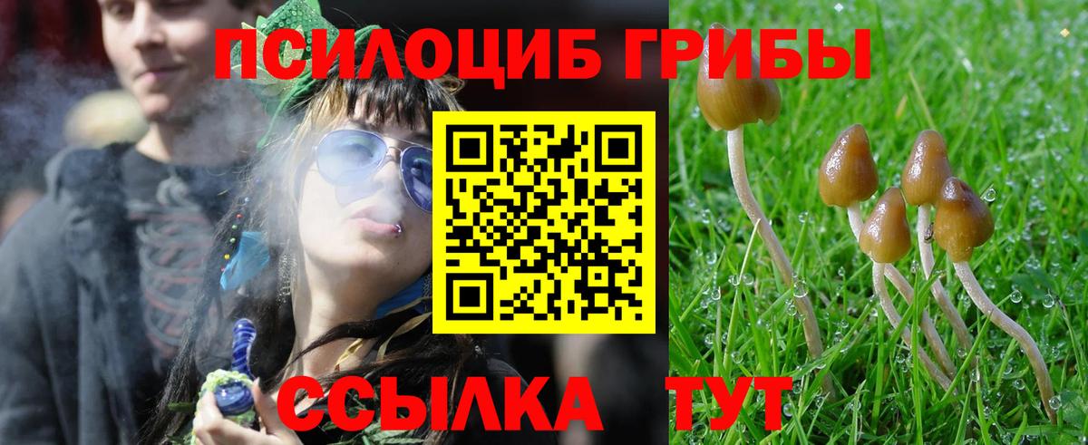 цена наркотик  Псилоцибиновые грибы мухоморы  Вход с VPN  Архангельск 